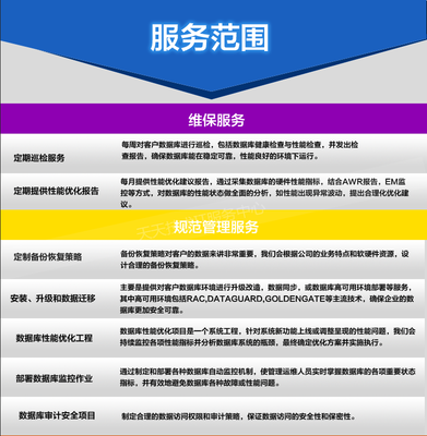 Oracle数据库技术支持/维护服务/性能优化